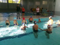 /album/galerie-photos/photo0555-jpg/